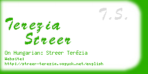 terezia streer business card